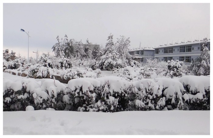 大理雪景  林艺佳 摄影_副本.jpg