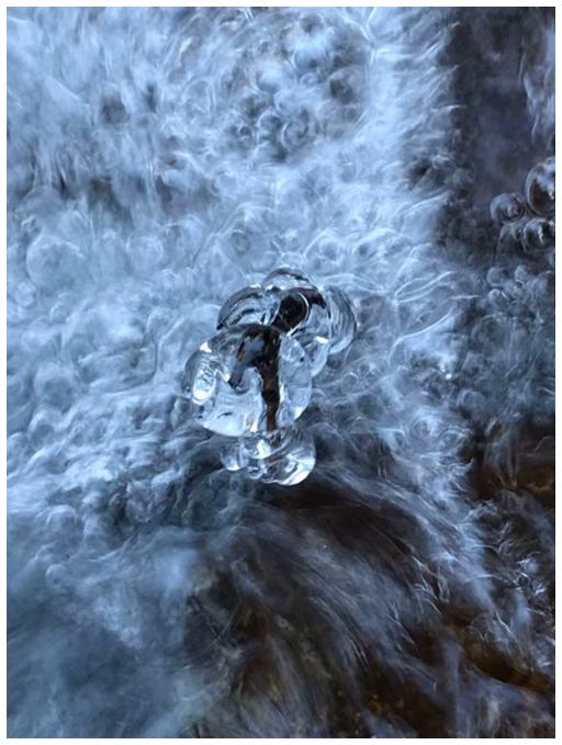 1蒋应辉-冰之舞.png 1蒋应辉-冰之舞.png